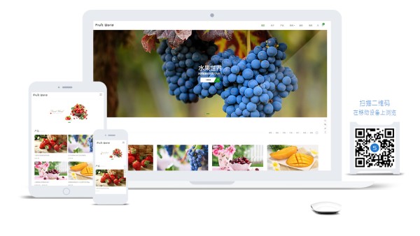 [￥988]WordPress企业产品展示 WooCommerce 商城主题Fruit